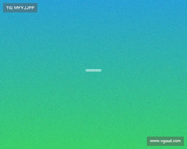 网球赛事总监是干什么