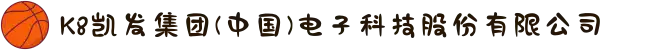K8凯发集团(中国)电子科技股份有限公司